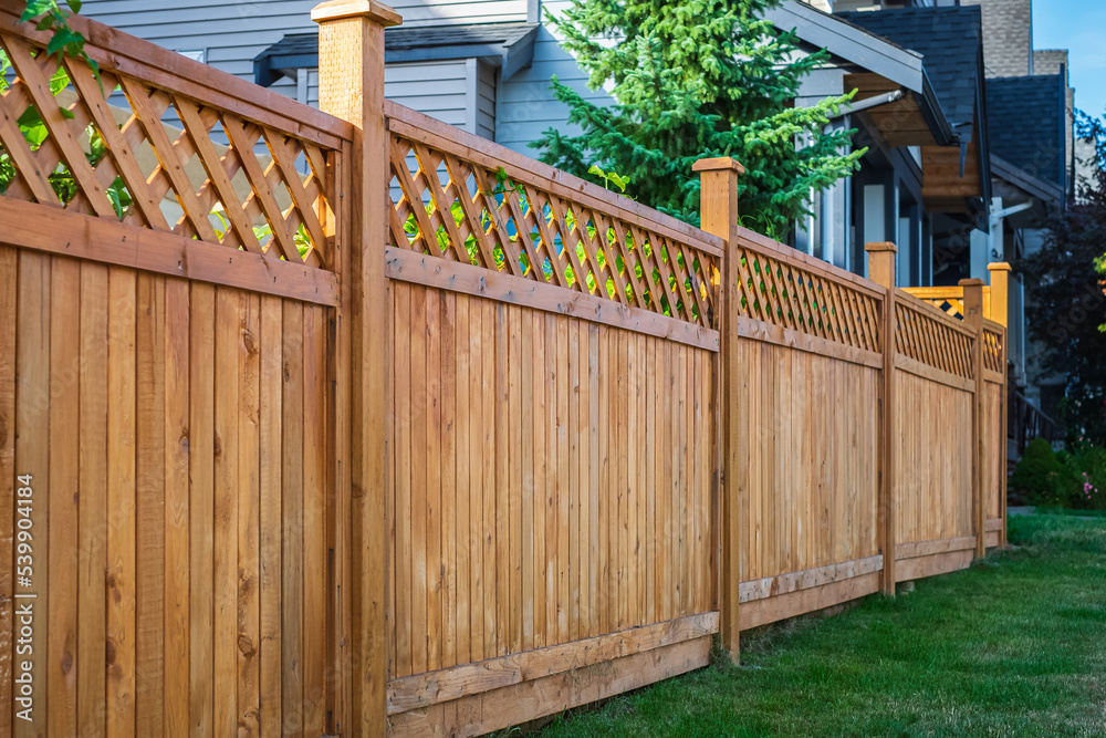 Vinyl Fence